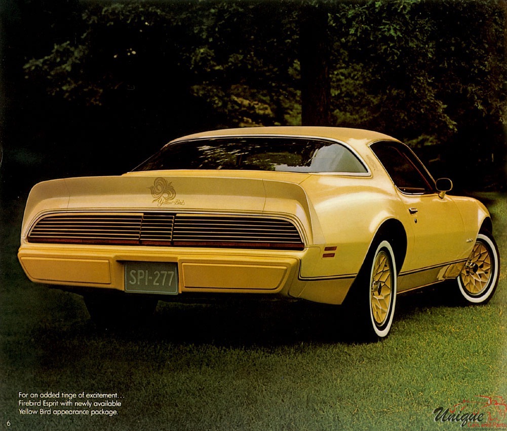 1980 Pontiac Brochure Page 28